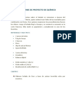 Informe de Proyecto de Química