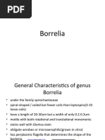 Download Borrelia Ppt by Lin Sison SN39837039 doc pdf