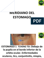 Meridiano Del Estomago PDF