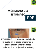 Meridianos del estomago