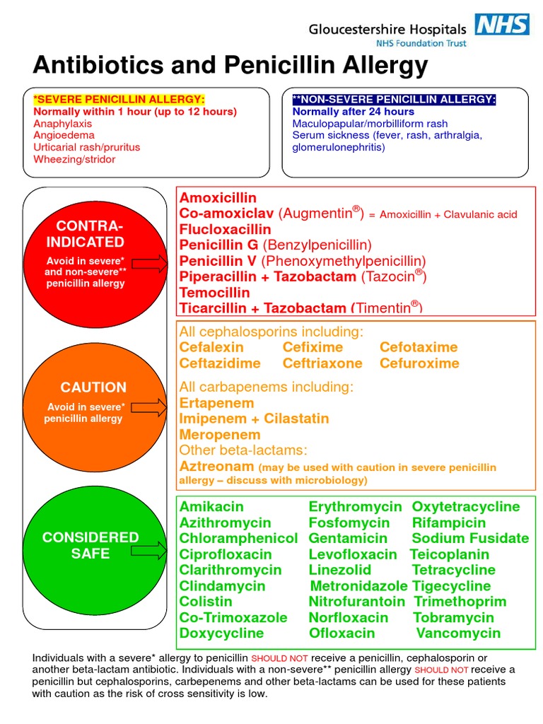 Penicillin Poster | PDF | Penicillin | Organic Compounds
