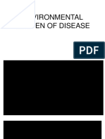 Environmental Burden of Disease