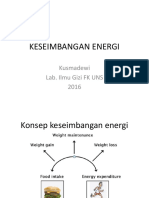 Keseimbangan Energi-2016