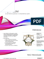 Perineum: Dr. Edi Patmini SS, Spog/Dr. M. Nurhadi Rahman, Spog