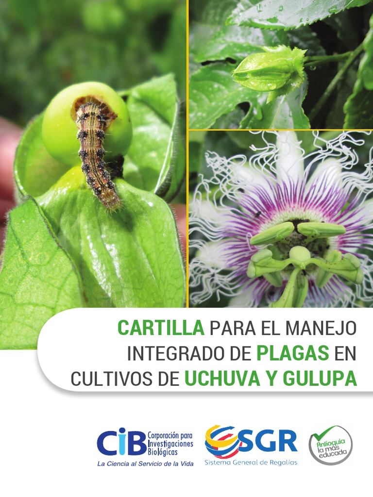 Cartilla Uchuva y Gulupa FINAL | PDF | Plaga (organismo) | Insectos ...