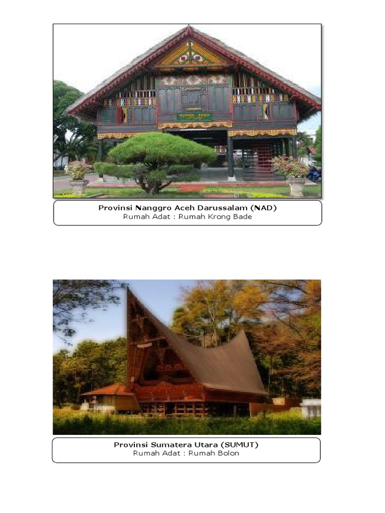 84+ Gambar Sketsa Rumah Adat Aceh HD