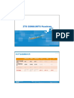 21 ZTE GU Roadmap 2010Q2 PDF