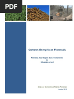 culturas energeticas florestais.pdf