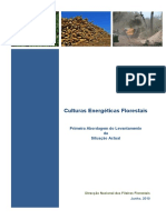 culturas energeticas florestais.pdf