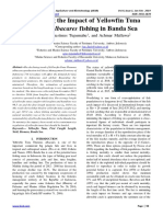 Minimizing The Impact of Yellowfin Tuna Thunnus Albacares Fishing in Banda Sea