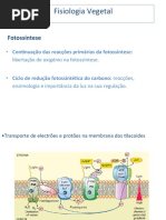 2ª Aula Fotossíntese