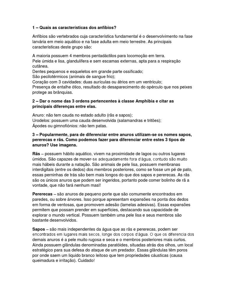 ArtStation - A princesa sapo, image size:768x1024