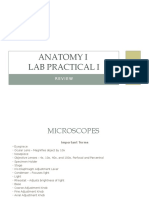 Anatomy I Lab Practical I Review