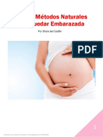 Guia para Quedar Embarazada PDF