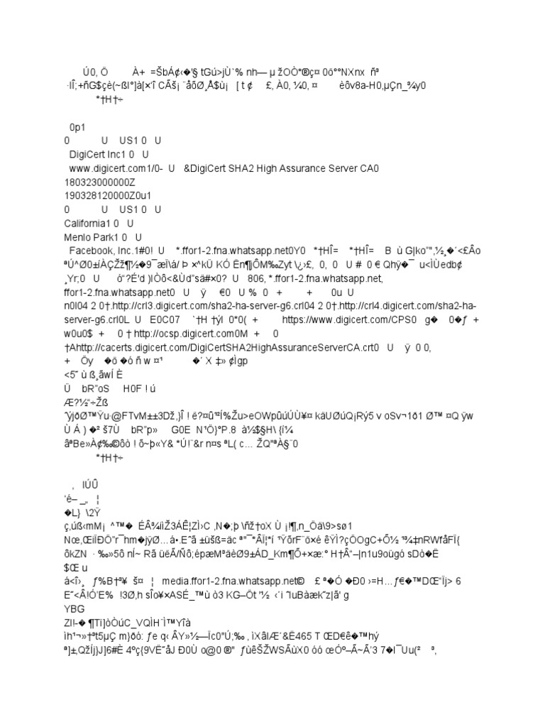 Media Ffor1 2 Fna Whatsapp Net 443 Latin Script