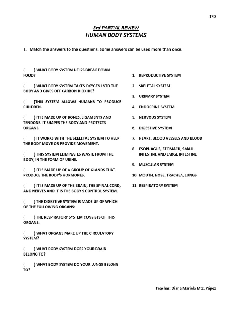 Human Body Systems Review PDF Human Body Circulatory System