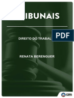 199762010419_PGE_DIR_TRAB_AULA_02