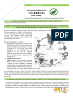 Helechos.pdf