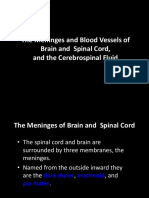 Gambaran Meninges