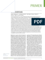 Diabetic Retinopathy