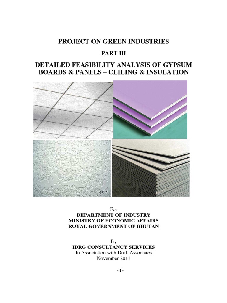 Feasibility Analysis of Gypsum Production | PDF | Drywall | Plaster