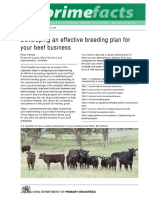 Developing an Effective Breeding Plan for Your Beef Business