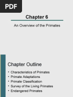 Primate Taxonomy and Classification Chart | PDF | Monkey | Ape