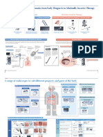 Olympus Largest Business Domain: From Early Diagnosis To Minimally Invasive Therapy