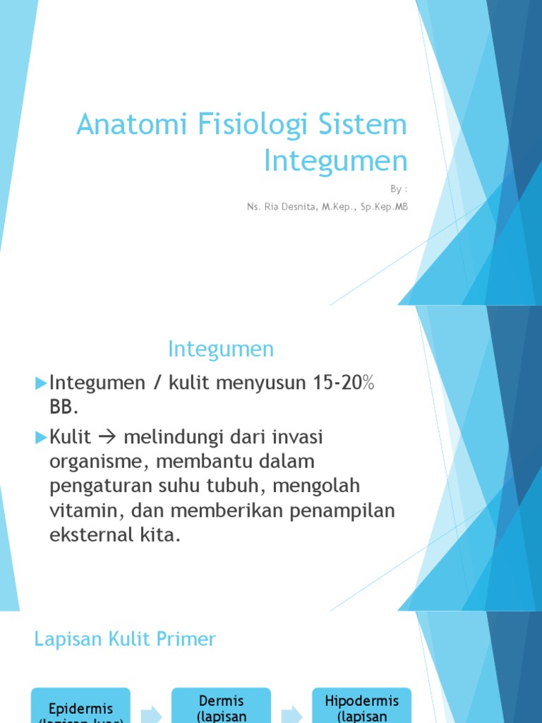 Anatomi Fisiologi Sistem Integumen | PDF