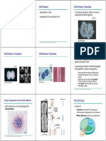 Lecture 3a_Life Process_Cell Division (Joel)2_2