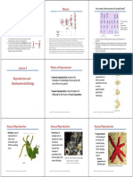 Lecture 4_Reproduction and Developmental Biology (Joel)