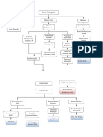 Pathway Teori Impetigo