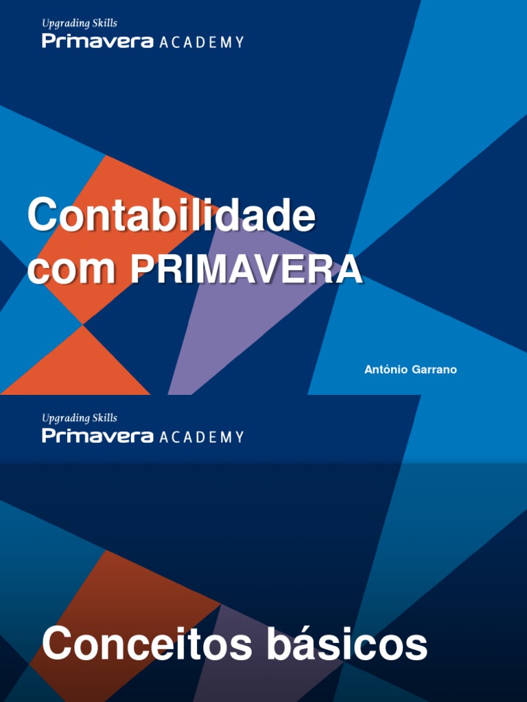 Contabilidade Básica com PRIMAVERA | PDF | Contabilidade | Economia