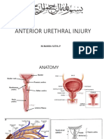 Rupture Urethra Anterior DR Sule Fix