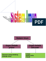 sistem-imun.ppt