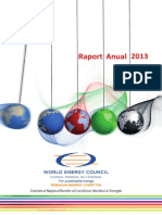 Raport Anual 2013 Web