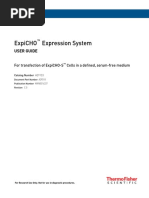 Expicho Expression System Man