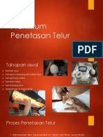 Praktikum Penetasan Telur