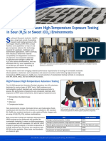 Polymer High-Pressure High-Temperature Exposure Testing in Sour (H S) or Sweet (CO) Environments