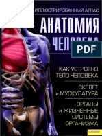 Anathomy atlas