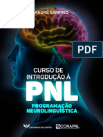 Curso-Introducao-a-PNL_Andre-Sampaio (1).pdf