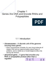 Chapter 1 - DNA and RNA