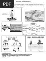 Farmacologia Dos Anti
