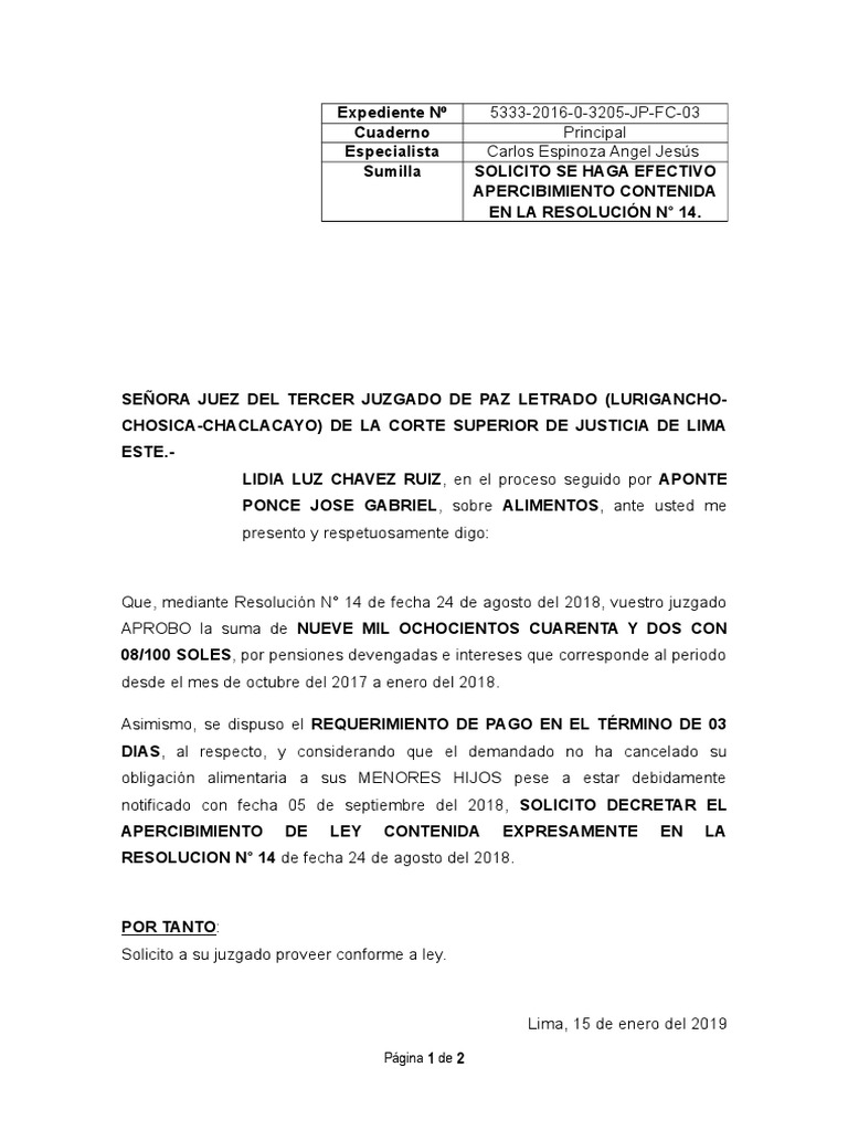 REQUERIMIENTO DE PAGO