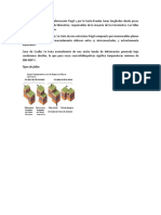 La Calidad Ambiental