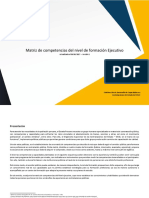 Ejecutivo_v1.pdf