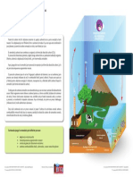 2016 Geografie Judeteana Clasa A Viiia Subiectebarem