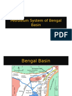 Petroleum System