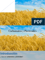 Carbamatos y Piretroides