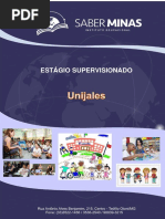 Manual de Estágio - Unijales (1)